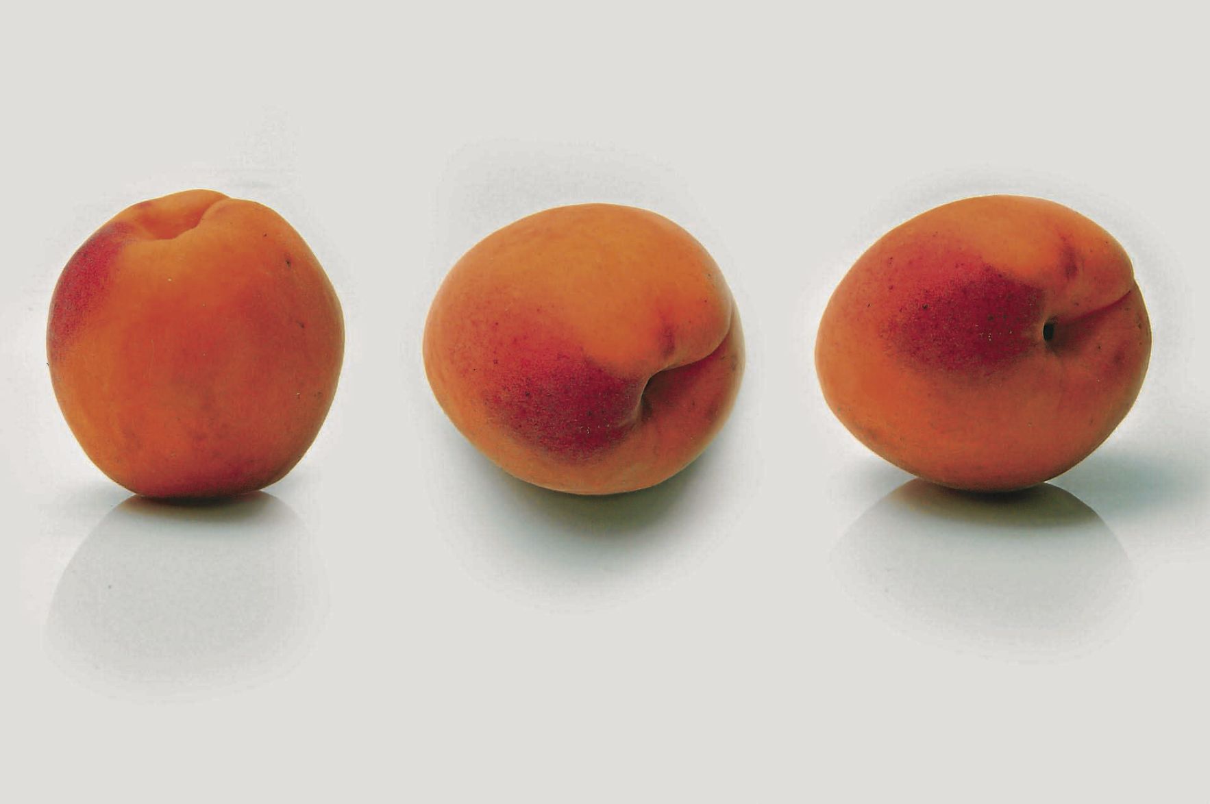 Apricots